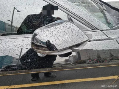 2019 Ford Mustang VIN: