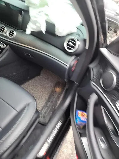 2019 Mercedes-Benz E 220 VIN: