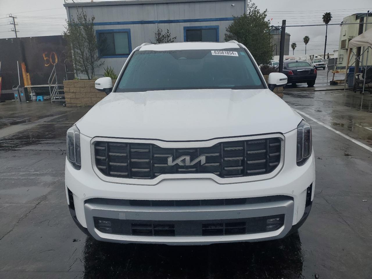 2023 KIA TELLURIDE SX VIN:5XYP5DGC9PG365045