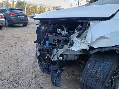 2021 Kia Carnival KNANE813BMS052570 VIN:KNANE813BMS052570