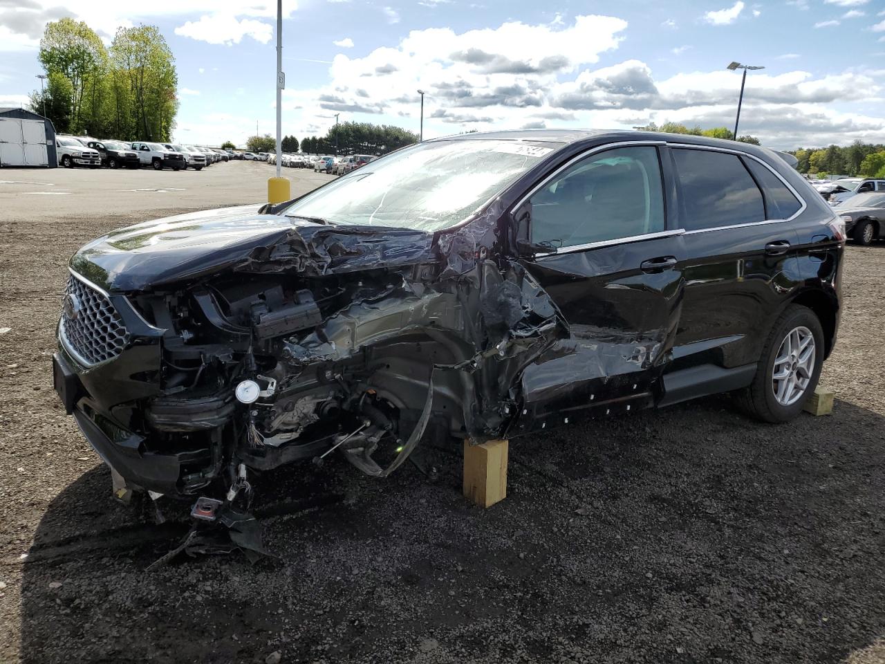 2024 FORD EDGE SEL VIN:2FMPK4J9XRBA81562