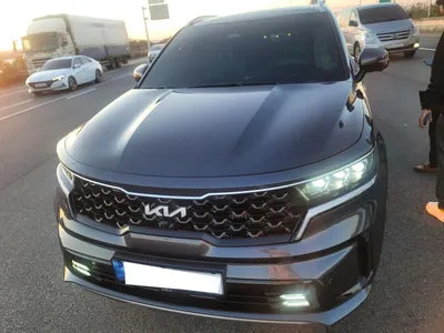 2022 Kia Sorento KNARH81GBPA141522 VIN:KNARH81GBPA141522