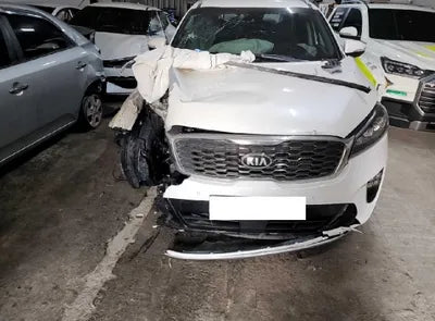 2020 Kia Sorento KNAPS81BBLA570113 VIN:KNAPS81BBLA570113