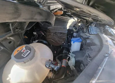 2021 Kia Carnival KNANC81BBMS112978 VIN:KNANC81BBMS112978