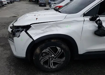 2021 Hyundai Santa FE KMHS281LGMU385620 VIN:KMHS281LGMU385620