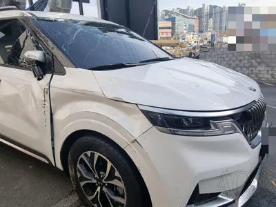2020 Kia Carnival KNANC81BBMS015175 VIN:KNANC81BBMS015175