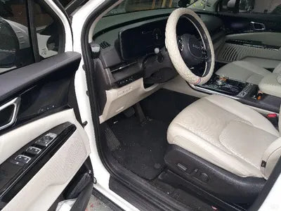 2023 Kia Carnival KNANE813BPS296612 VIN:KNANE813BPS296612