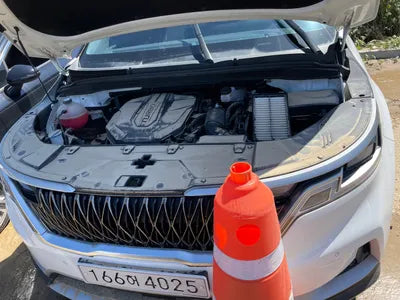 2021 Kia Carnival KNANB81BBMS009403 VIN:KNANB81BBMS009403