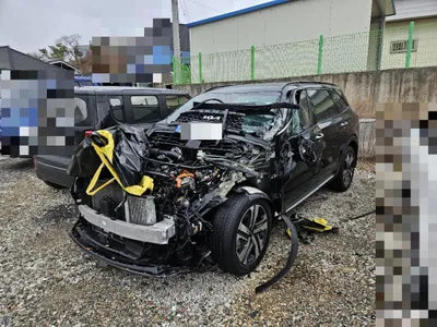 2022 Kia Sorento KNARL81GBNA122306 VIN:KNARL81GBNA122306