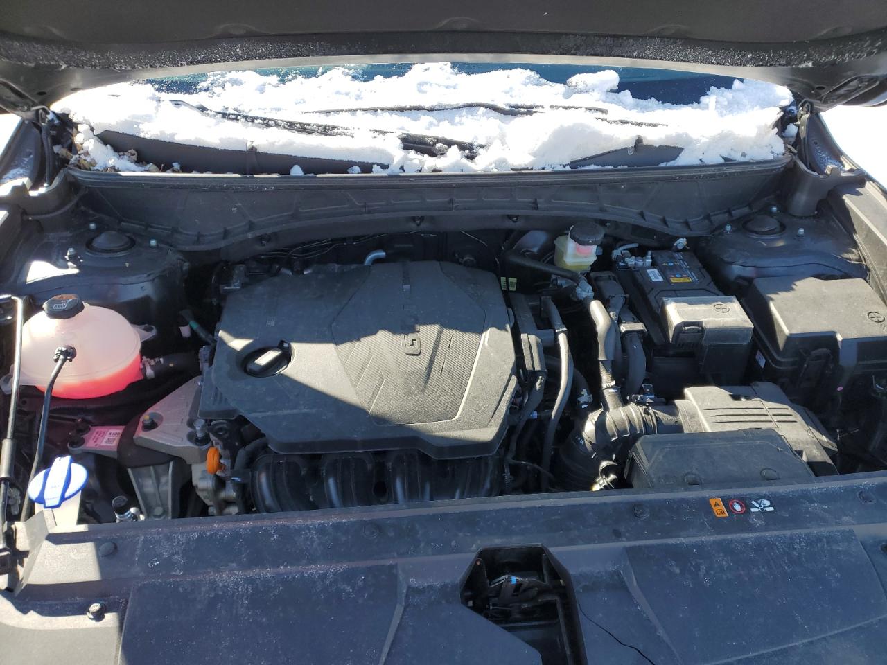 2024 HYUNDAI SANTA CRUZ SEL VIN:5NTJCDAE2RH101071