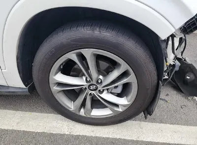 2019 Hyundai Santa FE KMHS581CBKU098716 VIN:KMHS581CBKU098716