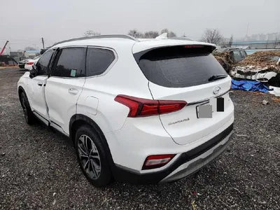 2019 Hyundai Santa FE KMHS581CBKU116989 VIN:KMHS581CBKU116989