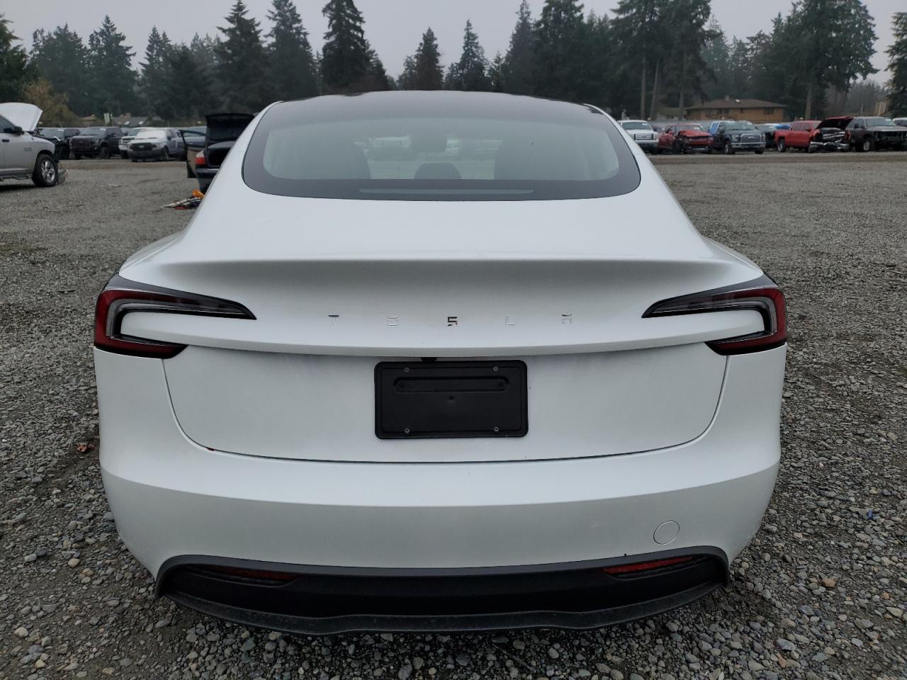 2024 TESLA MODEL 3  VIN:5YJ3E1EA3RF729064