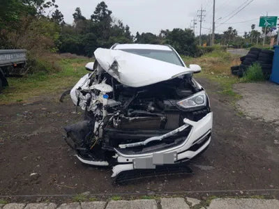 2017 Hyundai Santa FE KMHSW81UDJU818201 VIN:KMHSW81UDJU818201