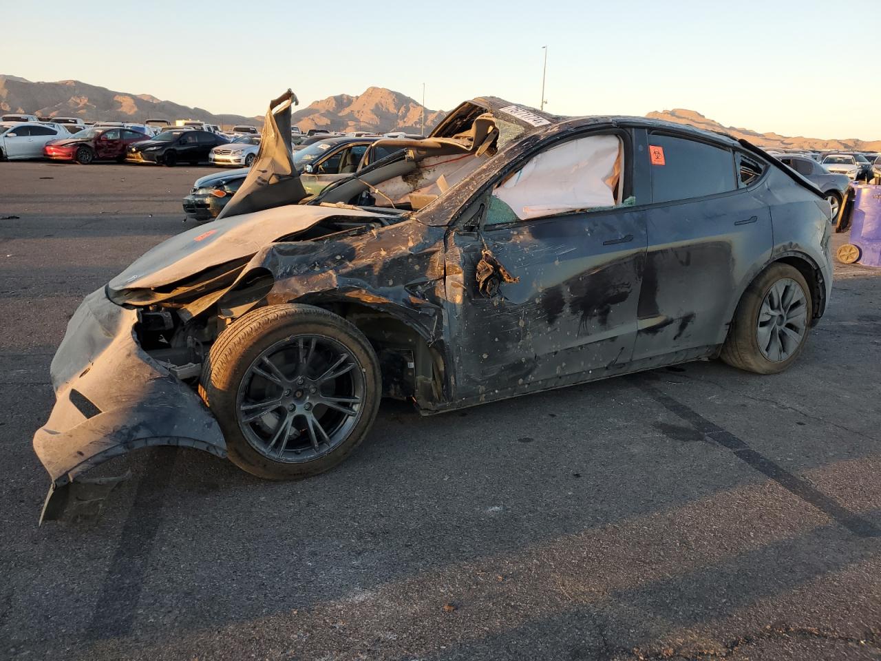 2024 TESLA MODEL Y  VIN:7SAYGDEE1RF132762