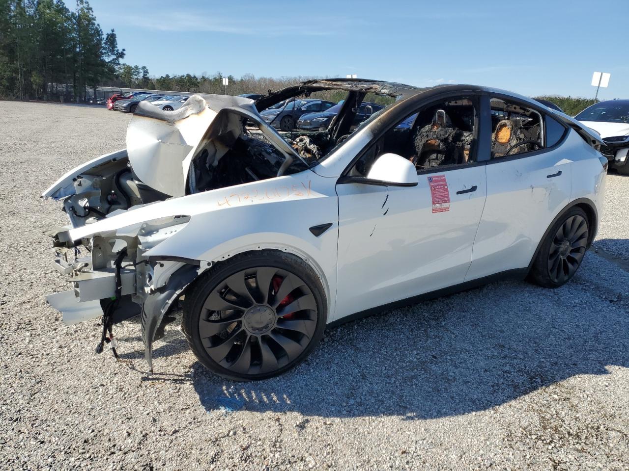 2024 TESLA MODEL Y  VIN:7SAYGDEF5RF183755