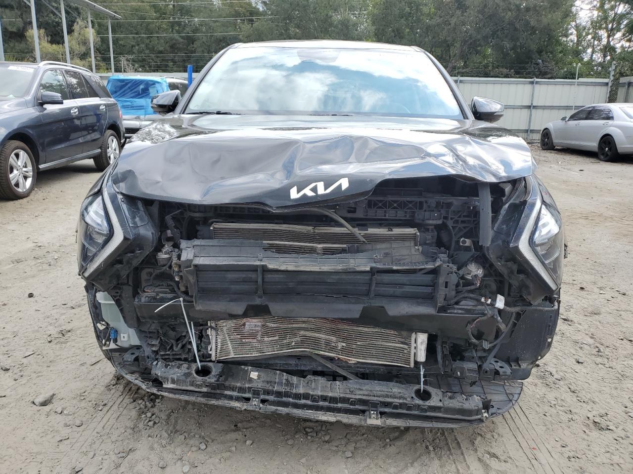 2023 KIA SPORTAGE EX VIN:5XYK33AF3PG065501