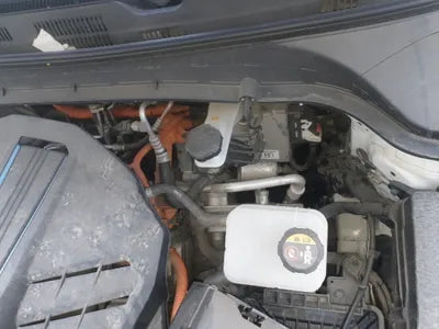 2020 Hyundai Kona KMHK381GFLU100372 VIN:KMHK381GFLU100372