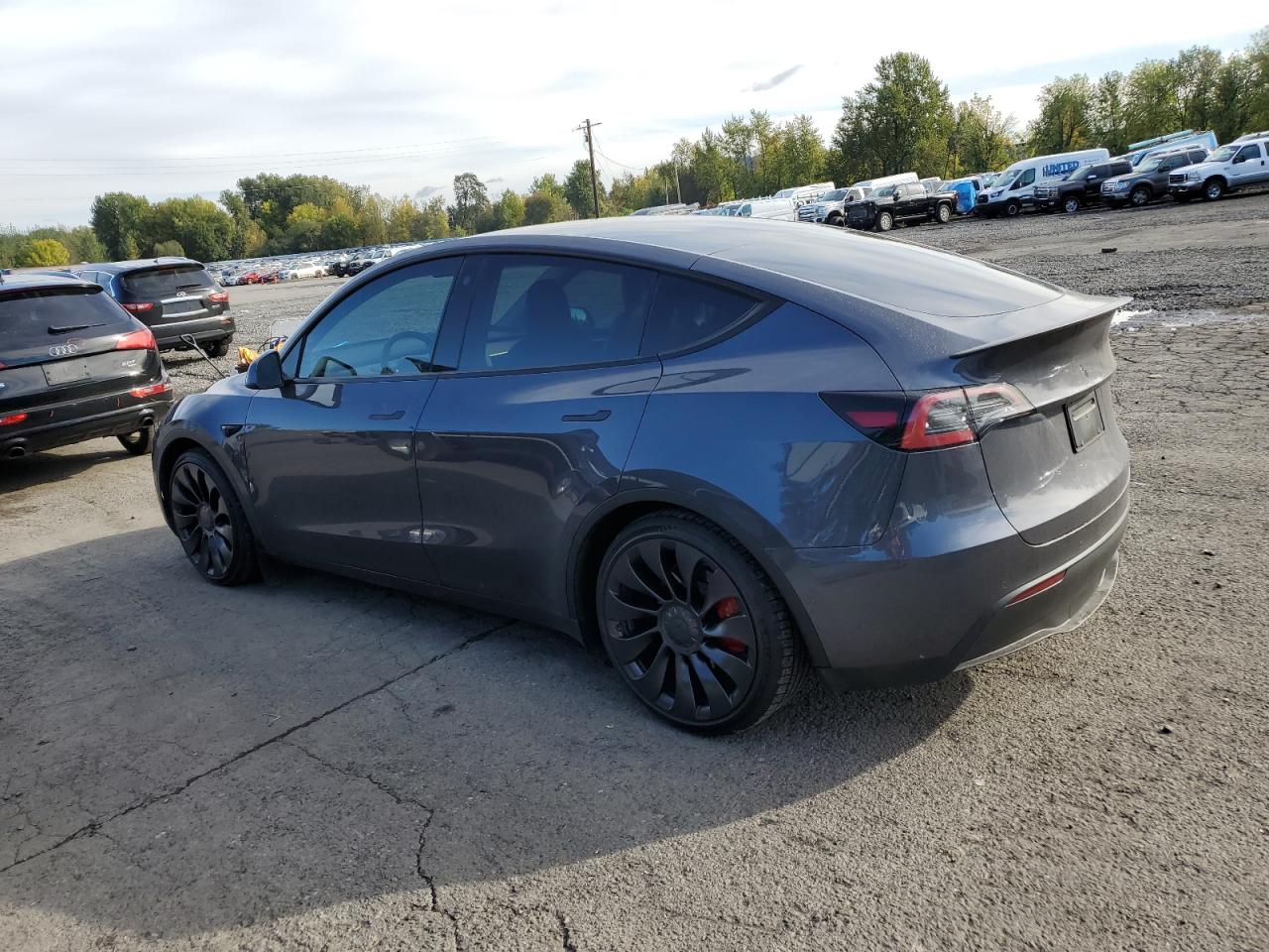 2022 TESLA MODEL Y  VIN:7SAYGDEFXNF540048