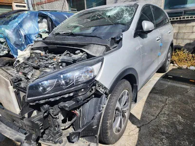 2019 Kia Sorento KNAPF81ABLA635285 VIN:KNAPF81ABLA635285