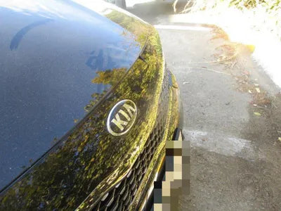 2017 Kia K5 KNAGV412BJA224606 VIN:KNAGV412BJA224606