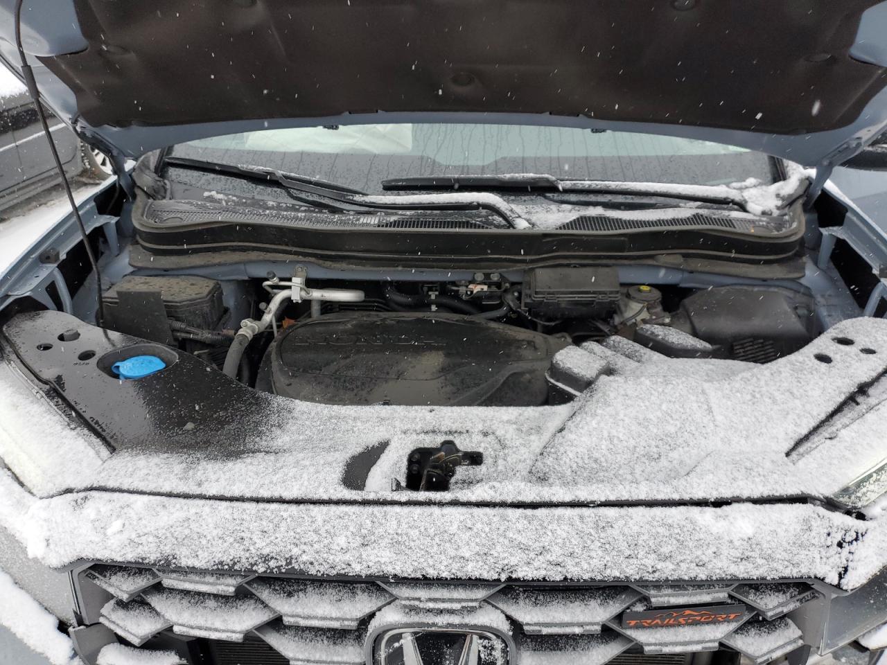 2023 HONDA PASSPORT TRAIL SPORT VIN:5FNYF8H69PB000938