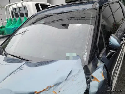 2021 Kia Carnival KNANE81BBMS085862 VIN:KNANE81BBMS085862