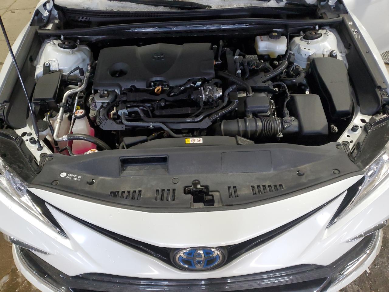 2024 TOYOTA CAMRY XLE VIN:4T1F31AK7RU077537