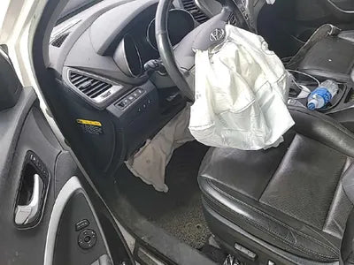 2016 Hyundai Santa FE KMHSW81XDGU665677 VIN:KMHSW81XDGU665677