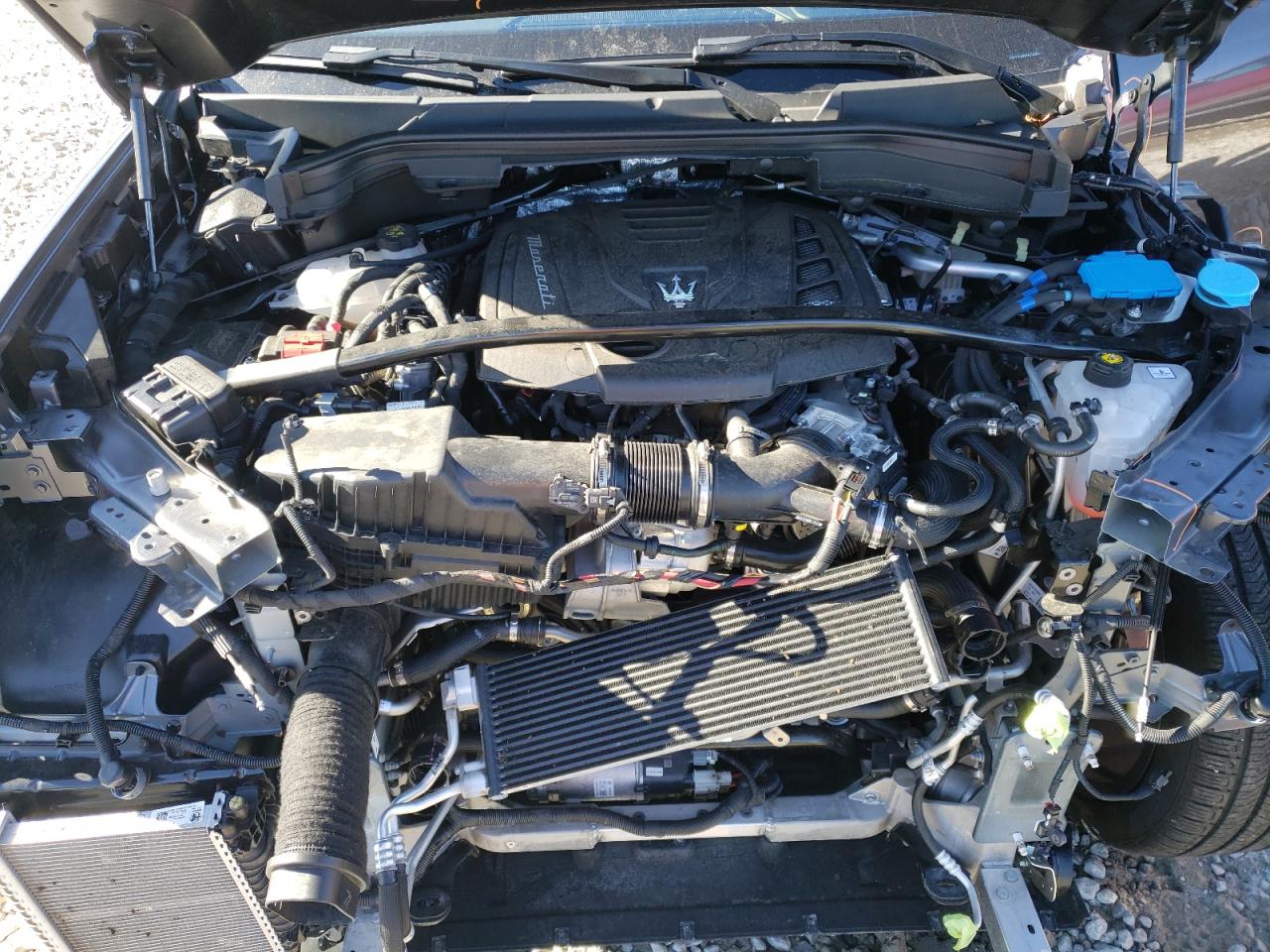 2023 MASERATI GRECALE GT VIN:ZN682AVA6P7418308