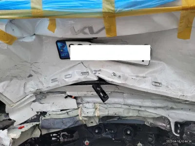 2022 Kia Sorento KNARJ81FHNA165991 VIN:KNARJ81FHNA165991