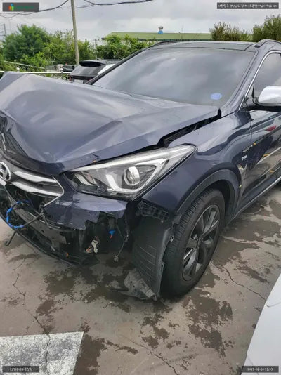 2018 Hyundai Santa FE KMHSW81UBJU856897 VIN:KMHSW81UBJU856897
