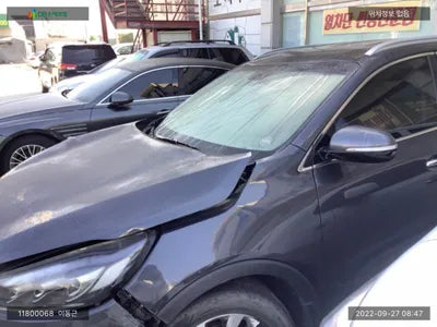 2019 Kia Sorento KNAPG81BBKA543174 VIN:KNAPG81BBKA543174