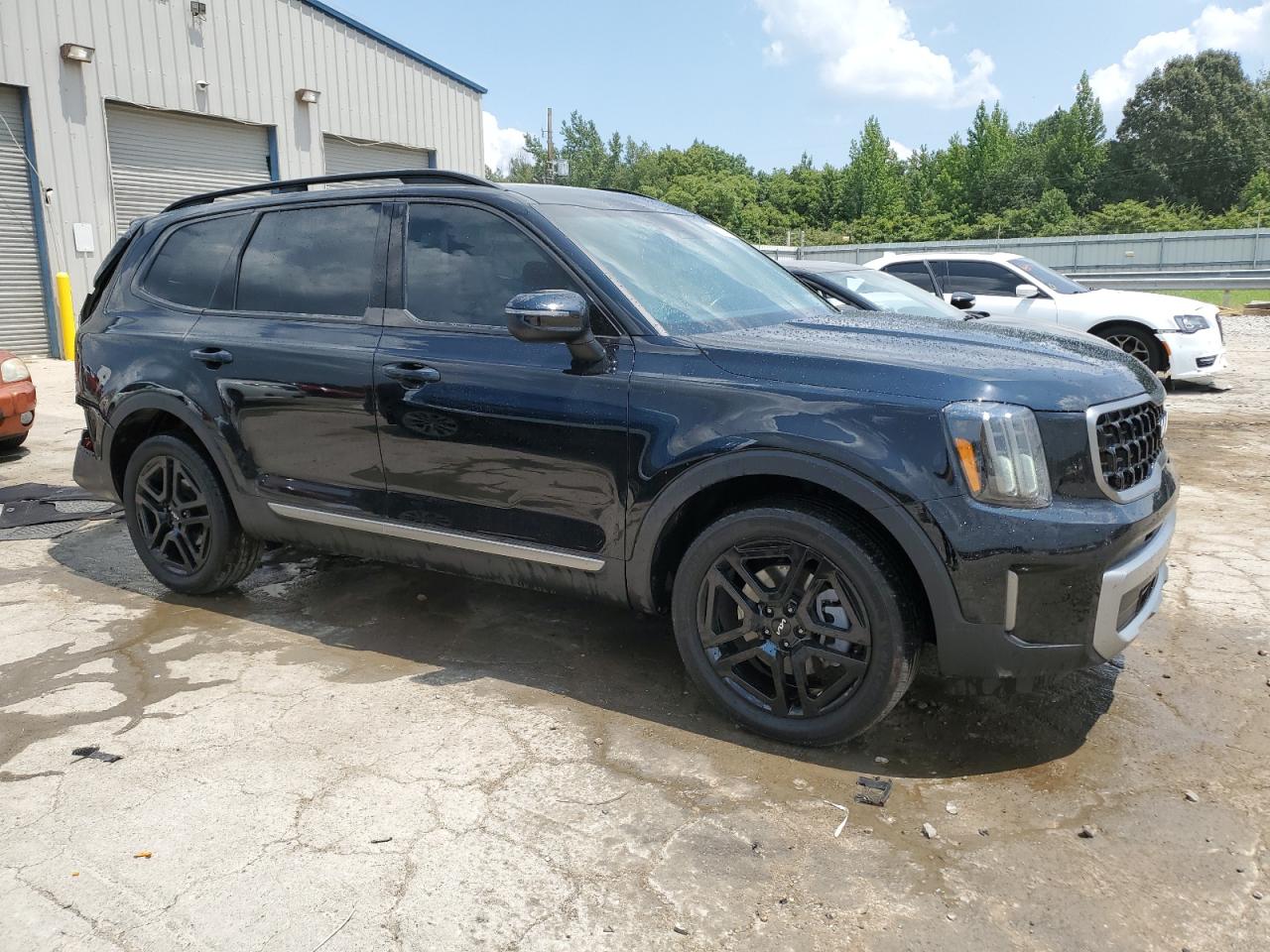 2023 KIA TELLURIDE EX VIN:5XYP3DGC9PG409387