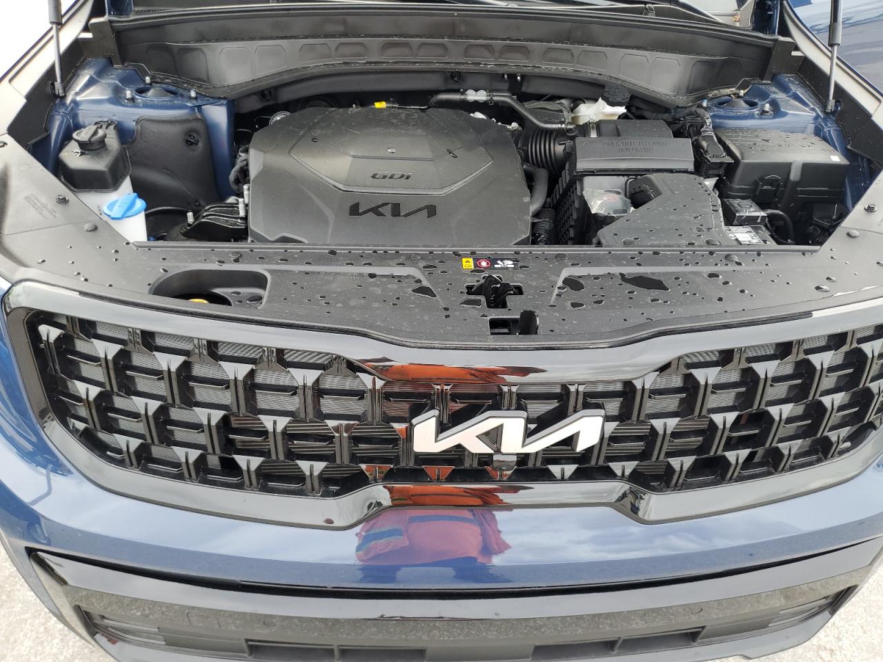 2024 KIA TELLURIDE SX VIN:5XYP5DGC6RG534442