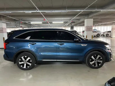 2021 Kia Sorento KNARJ81BGMA040026 VIN:KNARJ81BGMA040026