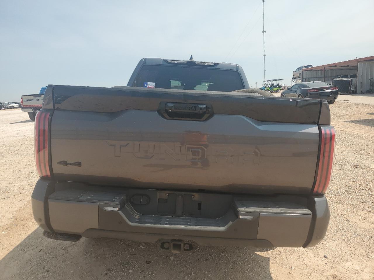 2024 TOYOTA TUNDRA CREWMAX PLATINUM VIN:5TFNA5EC3RX023733