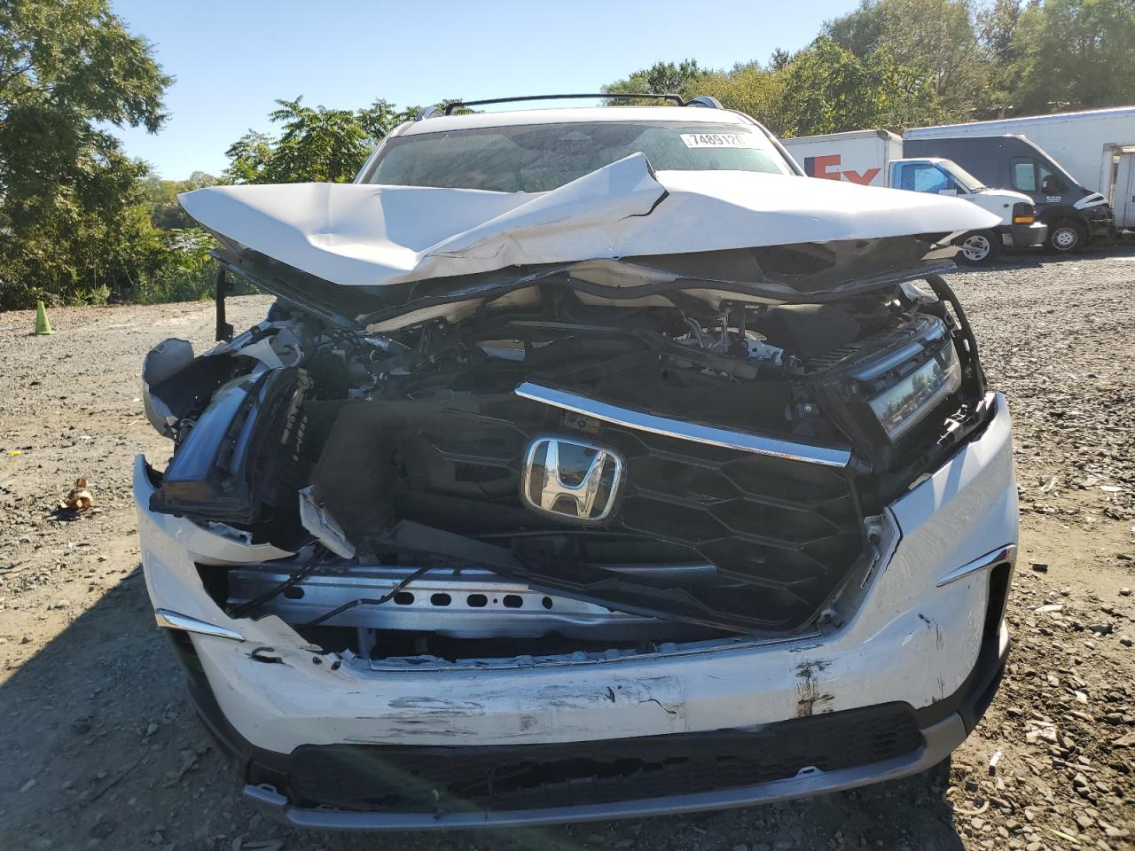 2023 HONDA PILOT ELITE VIN:5FNYG1H89PB045691