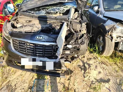 2020 Kia Carnival VIN: