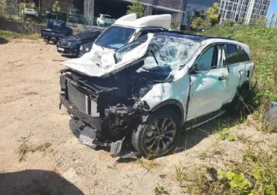 2018 Kia Sorento KNAPH81BBJA385967 VIN:KNAPH81BBJA385967