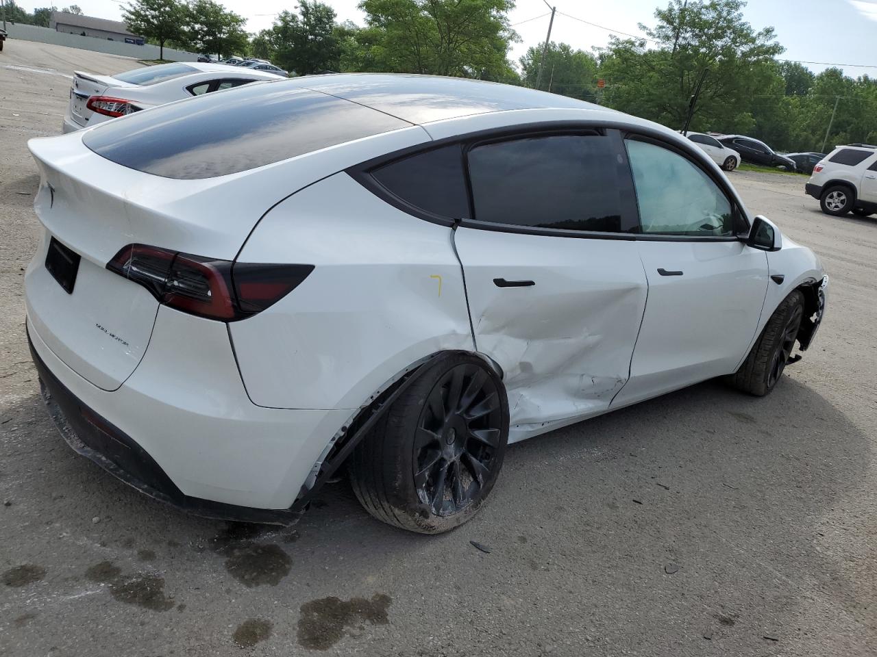 2023 TESLA MODEL Y  VIN:7SAYGDEE4PF813141