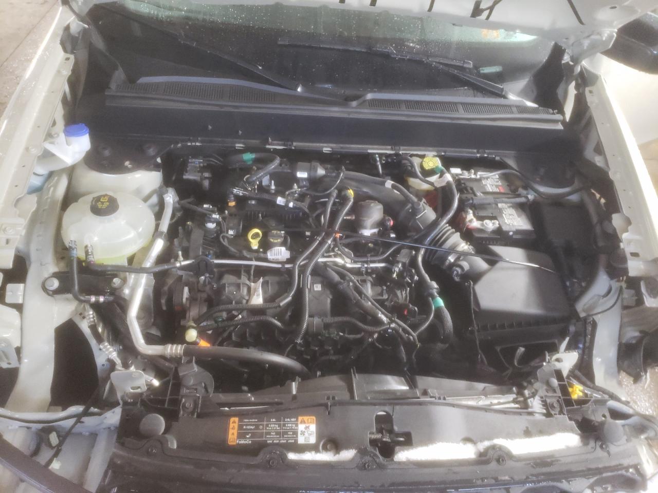 2024 FORD MAVERICK XLT VIN:3FTTW8J95RRA13590