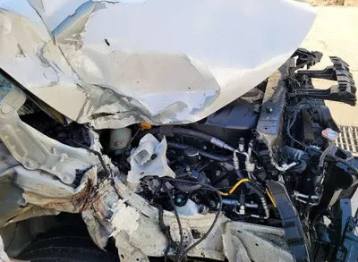 2019 Kia Carnival KNAMB81ABKS545326 VIN:KNAMB81ABKS545326