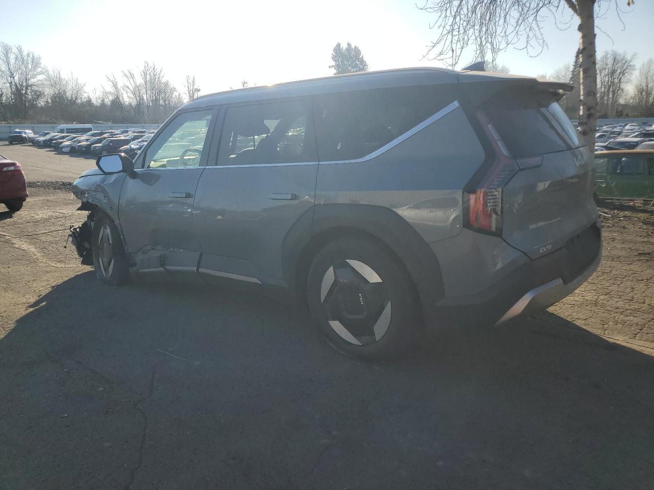 2024 KIA EV9 WIND VIN:KNDAFFS53R6044485