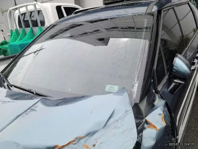 2021 Kia Carnival KNANE81BBMS085862 VIN:KNANE81BBMS085862