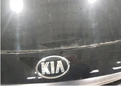 2016 Kia Carnival KNAMB81ABGS230350 VIN:KNAMB81ABGS230350