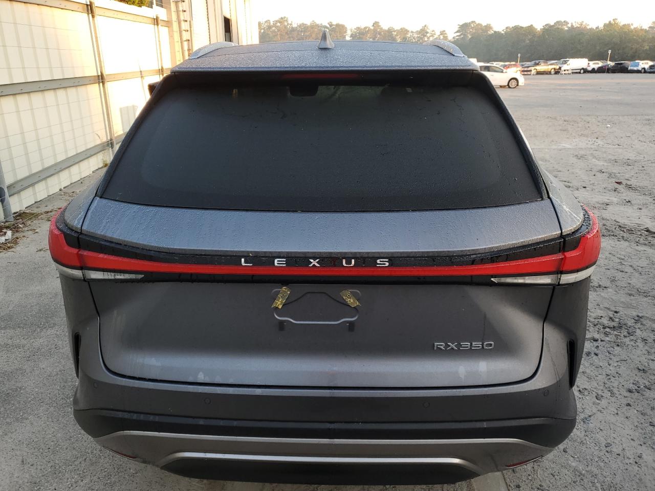 2023 LEXUS RX 350 BASE VIN:2T2BAMBA4PC010173