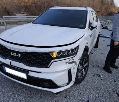 2022 Kia Sorento KNARH81FHPA186480 VIN:KNARH81FHPA186480