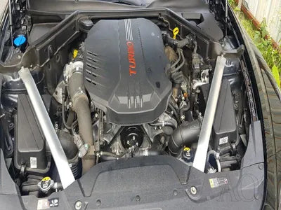 2020 Kia Stinger KNAE751CDLS085806 VIN:KNAE751CDLS085806