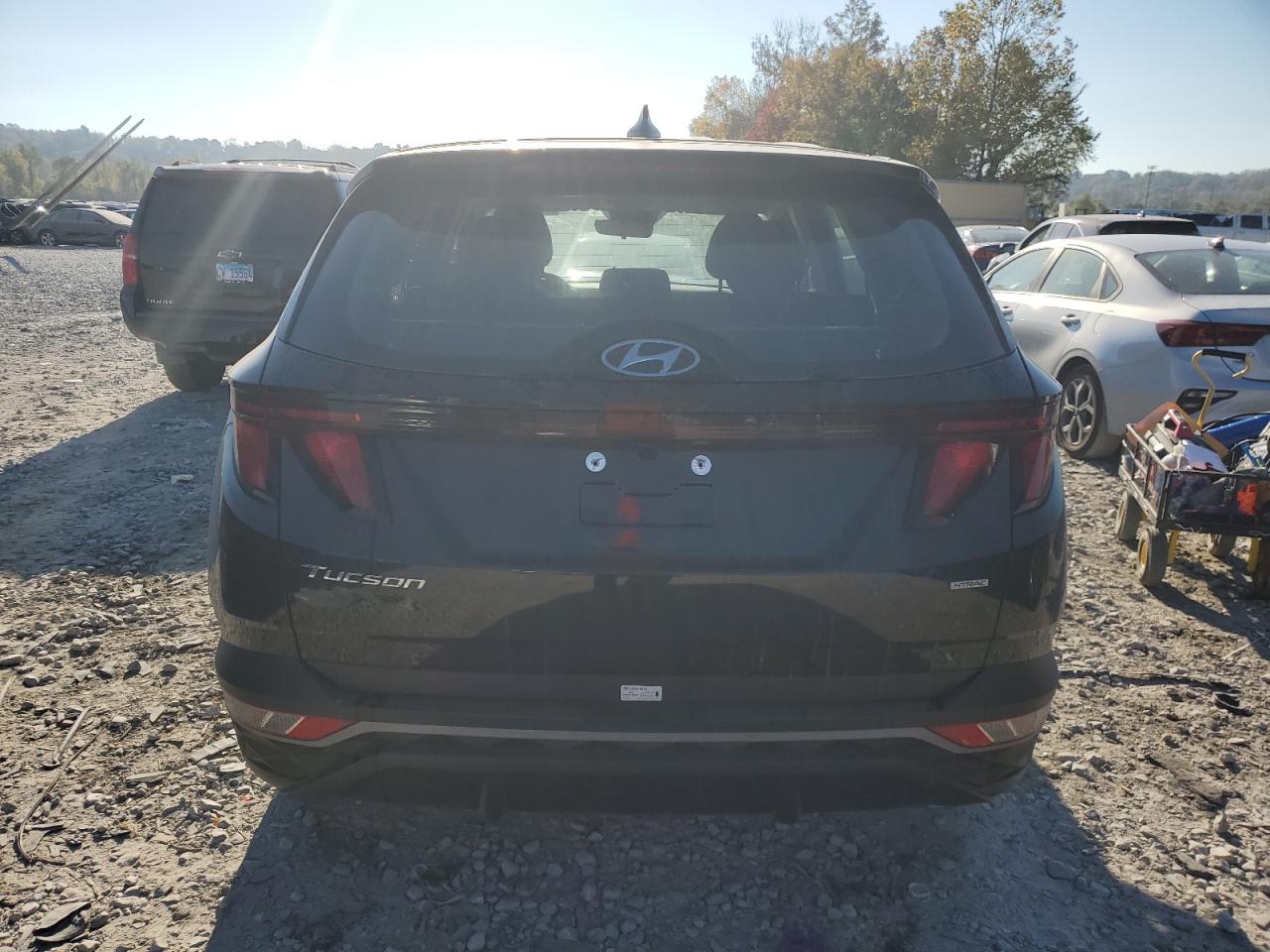 2024 HYUNDAI TUCSON SE VIN:5NMJACDE1RH401322